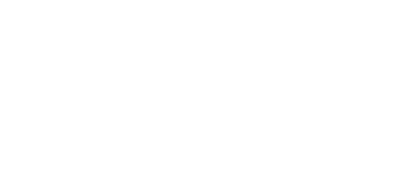 IT-компания Wellsoft
